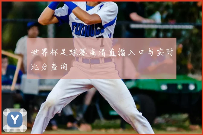 世界杯足球赛高清直播入口与实时比分查询