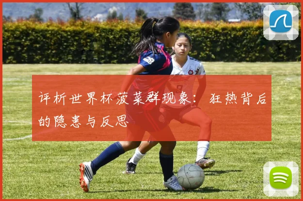 评析世界杯菠菜群现象：狂热背后的隐患与反思
