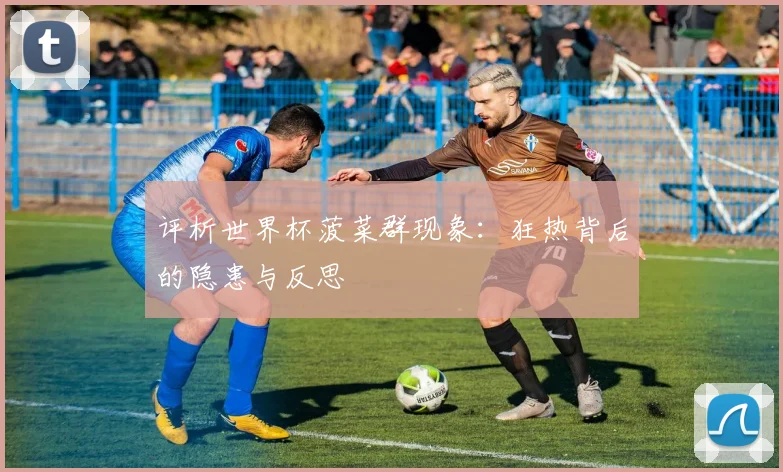 评析世界杯菠菜群现象：狂热背后的隐患与反思