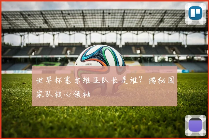 世界杯塞尔维亚队长是谁?揭秘国家队核心领袖