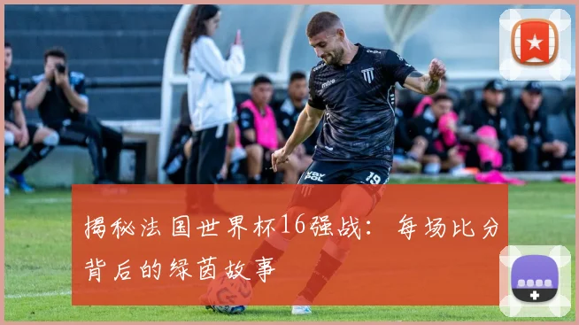 揭秘法国世界杯16强战：每场比分背后的绿茵故事