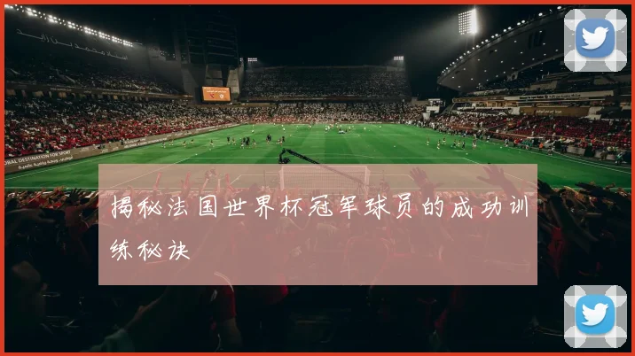 揭秘法国世界杯冠军球员的成功训练秘诀