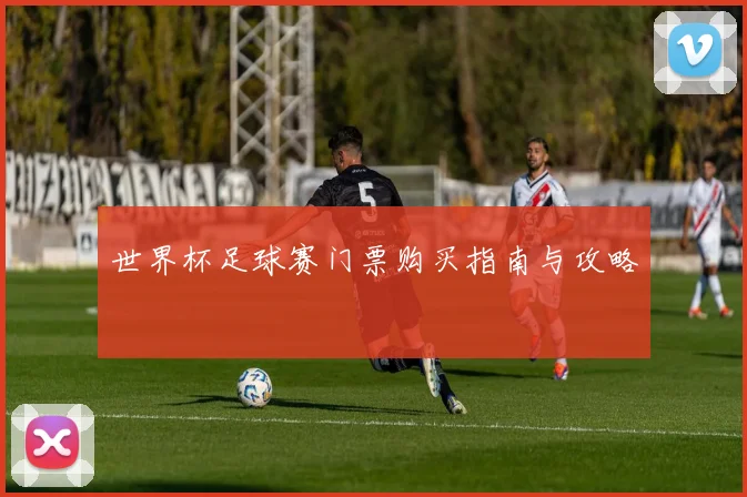 世界杯足球赛门票购买指南与攻略