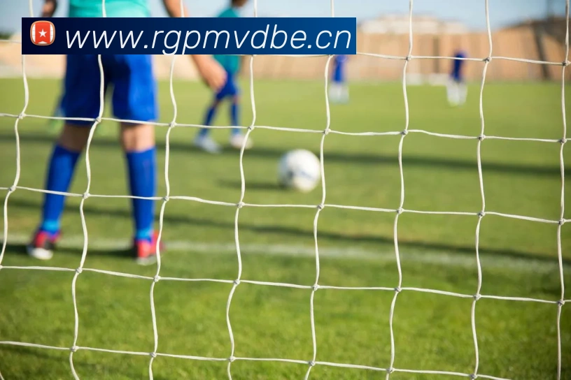 九游官网官方入口平台生态图