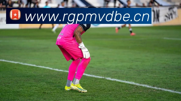 九游官网官方入口全站App